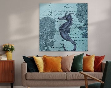The seahorse by christine b-b müller