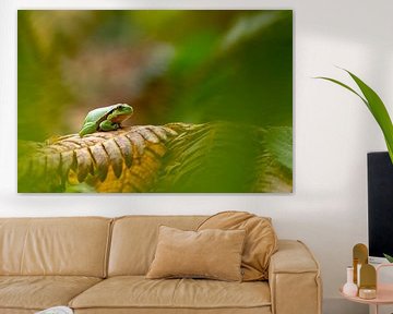 Tree frog on fern leaf by Mariëro Fotografie