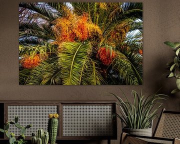 palm tree with palm frond and fruits by Dieter Walther