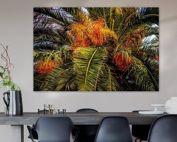 Palmboom met palmbladeren en vruchten van Dieter Walther