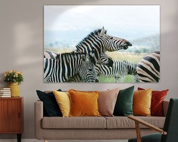 Group of zebras | Travel photography | South Africa by Sanne Dost