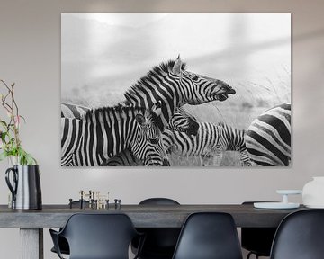 Zwart wit print van een zebra | Reisfotografie | Zuid-Afrika van Sanne Dost