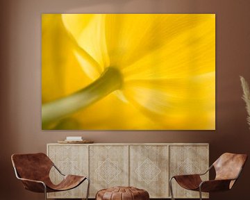 La tulipe jaune de rêve sur Marjolijn van den Berg