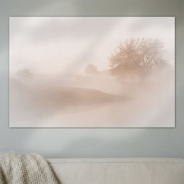 Bossche Broek im Nebel I