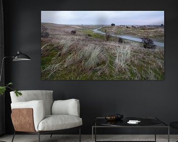 Landschaft Ameland von Age Meijer