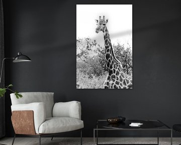 Portrait in black and white of giraffe | Travel photography | South Africa by Sanne Dost