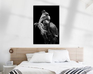 Zwarte neushoornvogel | Zwart-wit | Portret | Dierenfotografie van Monique Tekstra-van Lochem