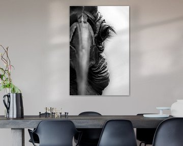 Gros plan sur l'oeil d'un calao | Portrait | Noir et blanc sur Monique Tekstra-van Lochem
