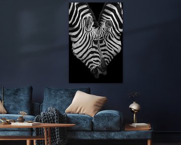 Zebra-Paar | Porträt | Schwarz und Weiß von Monique Tekstra-van Lochem