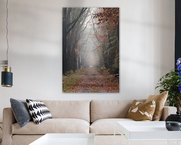 Den Treek Wald Amersfoort von Maarten Starink Photography