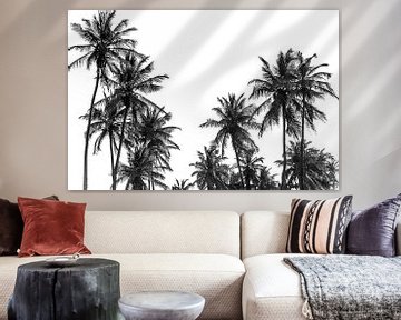 Palmiers sur la plage de Ouida en Afrique de l'Oues
