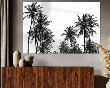 Palmbomen op het strand in Ouida in West-Afrika