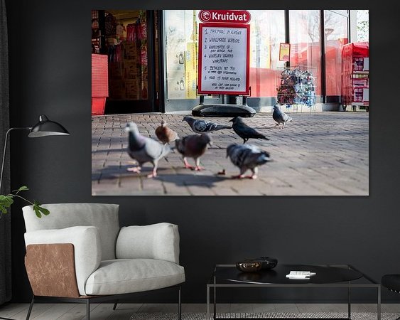 Aperçu de la chambre