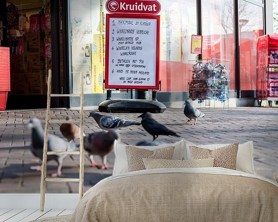 Aperçu de la chambre