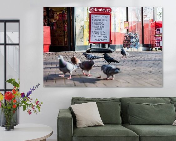 Aperçu de la chambre