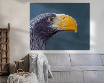 The Stellar's Eagle by Natascha Worseling