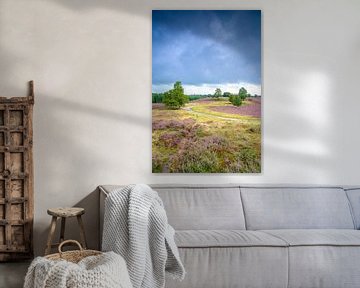 Chemin sur une colline avec des bruyères en fleurs dans un paysage de bruyère sur Sjoerd van der Wal Photographie