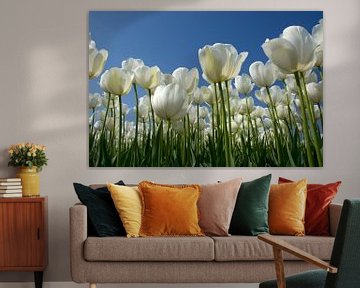 Witte tulpen van PvdH Fotografie