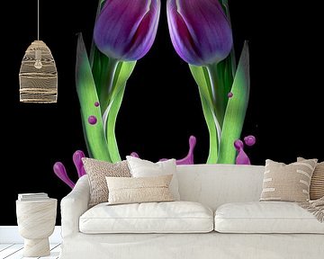 Tulips composition splashed by Humphry Jacobs