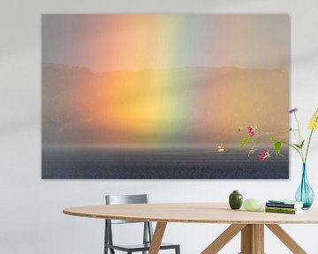 Alle Farben des Regenbogens von RobJansenphotography