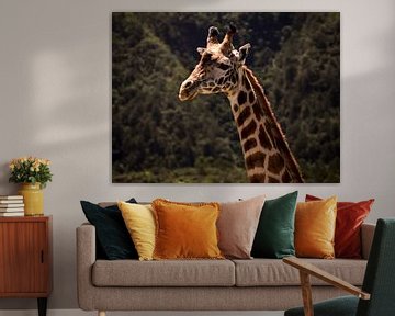Giraffe by Marry Fermont