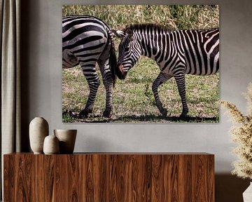 Zebra friends by Marry Fermont