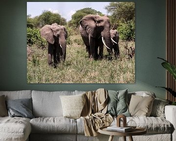 Familie der Elefanten von Marry Fermont