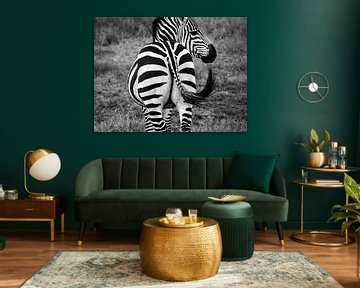 Zebra billen