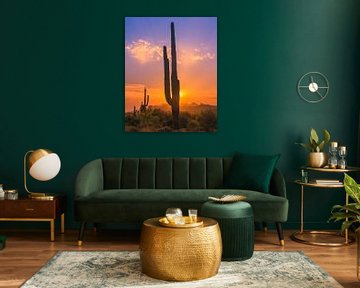 Saguaro-Kaktus bei Sonnenuntergang im Lost Dutchman State Park von Henk Meijer Photography