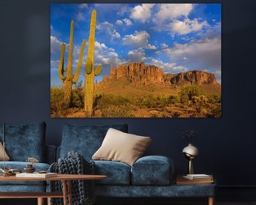 Saguaro im Lost Dutchman State Park, Arizona von Henk Meijer Photography