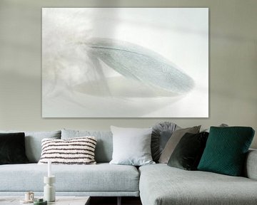 Soft feather 9 by Greetje van Son
