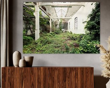 Verlassene Halle mit Pflanzen von UEG Photography