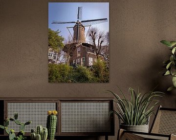 Windmühle Gouda von Rob Boon