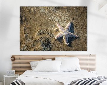 Zeester in het zand. van Kevin Baarda