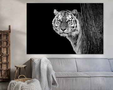Kop van een tijger | Portret | Zwart wit | Fotografie