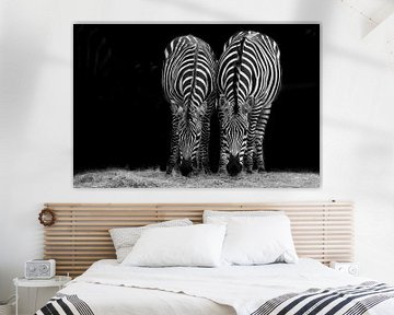 Zebra stel | Zwart wit | Portret | Fotografie
