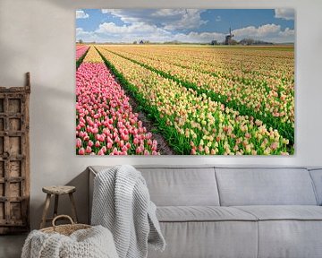 bunte Landschaft und Blumenfeld mit Tulpen