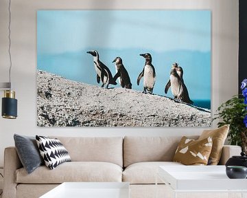 Penguins at Boulders Beach, South Africa by Suzanne Spijkers