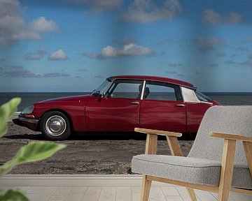 Citroen DS | Oldtimer | Snoek | Rode auto | Auto poster