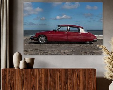 Citroen DS | Oldtimer | Snoek | Rode auto | Auto poster van Kimberley Helmendag