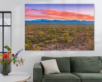 Zonsondergang in Saguaro Nationaal Park van Henk Meijer Photography