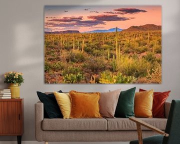 Zonsondergang in Saguaro Nationaal Park van Henk Meijer Photography