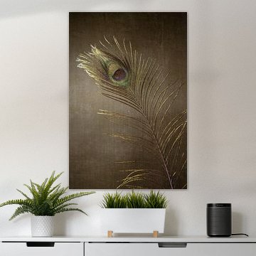 Peacock feather Bohemian Warm Bronze