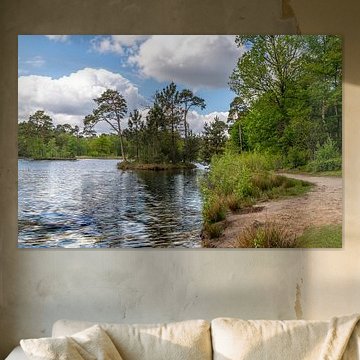 Insel im van Esschenven in Oisterwijk.
