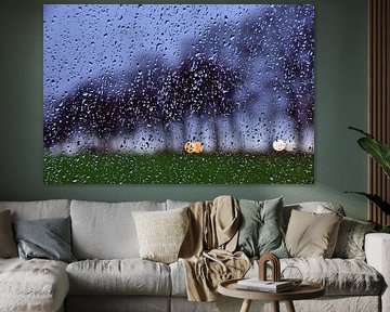 Rain shower