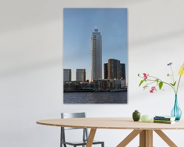 Zalmhaventoren in Rotterdam aan de Nieuwe Maas