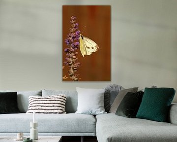 Vlinder op lavendeltak van Marco Weening
