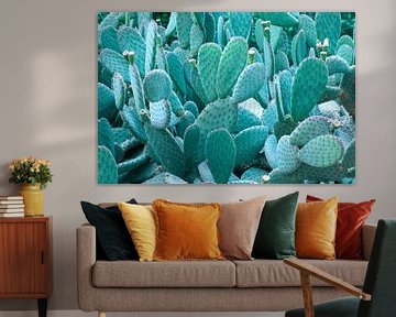 Cactus photography Mint green | Beautiful in a Botanic interior by Denise Tiggelman