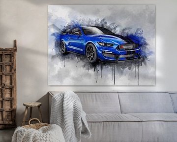 Ford Mustang Shelby Gt350 R van Pictura Designs