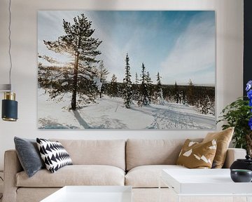 Bomen in besneeuwd Lapland van Mieke Broer